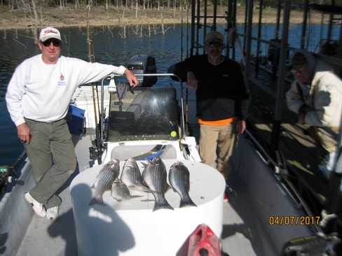 Nice Striped Bass